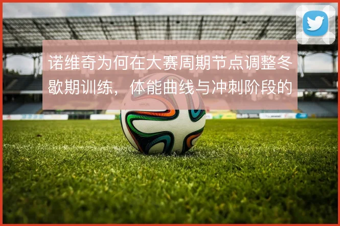 诺维奇为何在大赛周期节点调整冬歇期训练,体能曲线与冲刺阶段的取舍