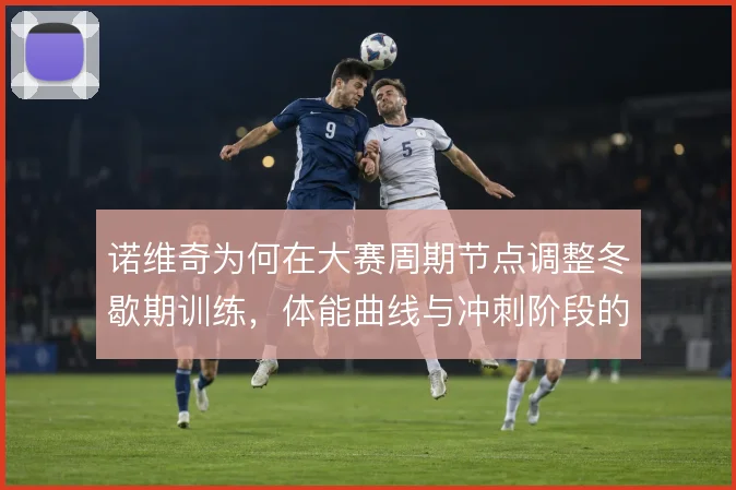 诺维奇为何在大赛周期节点调整冬歇期训练,体能曲线与冲刺阶段的取舍
