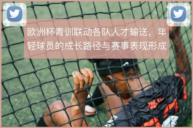 欧洲杯青训联动各队人才输送，年轻球员的成长路径与赛事表现形成良性循环
