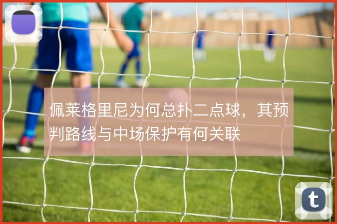 佩莱格里尼为何总扑二点球,其预判路线与中场保护有何关联