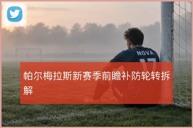 帕尔梅拉斯新赛季前瞻补防轮转拆解